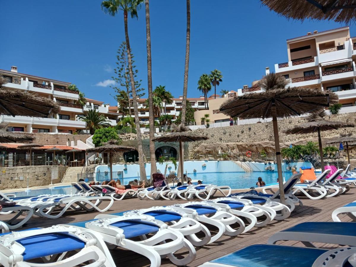 Chillout Studio Albatros In Toller Anlage Mit Pool San Miguel de Abona Bagian luar foto