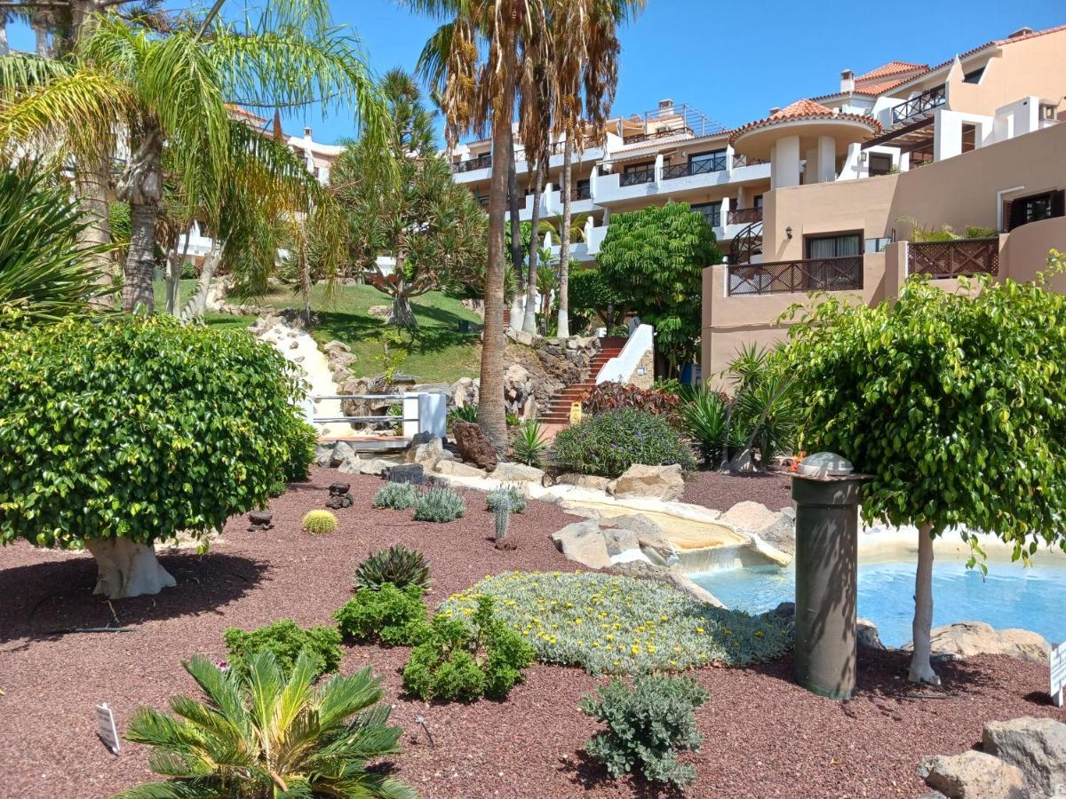Chillout Studio Albatros In Toller Anlage Mit Pool San Miguel de Abona Bagian luar foto